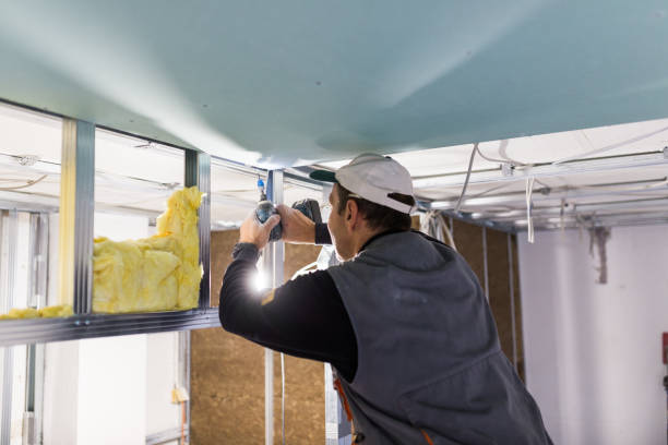 Best Fiberglass Insulation  in Stafford Courthouse, VA